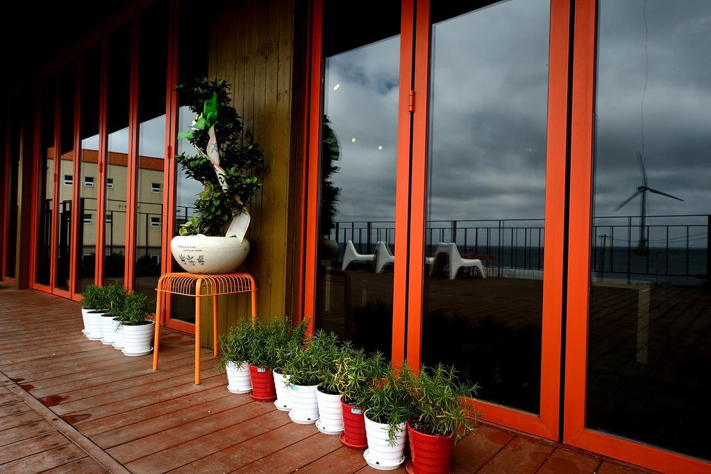 Maison Sondemul Guesthouse Jeju Eksteriør billede